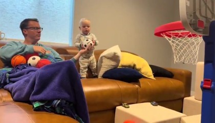 欧亿体育娱乐-🥰湖人勇士报价多少？小婴儿篮球天赋爆棚 不开玩笑比库里强