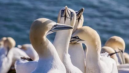 欧亿体育投注-开云体育线上：让激情与智能同行的体育新体验